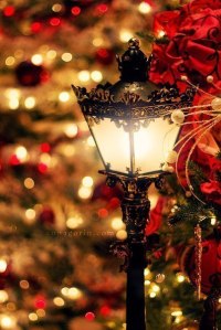 0d707733a0997bb4d69236e00513d093