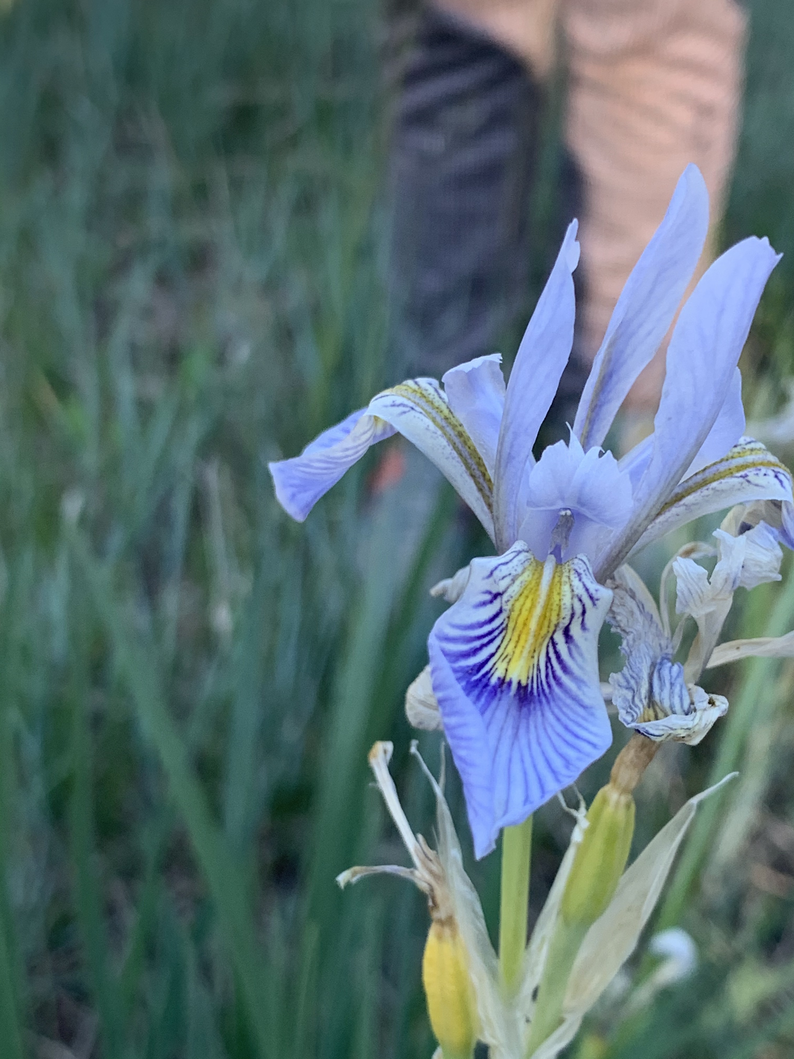 XvaDwcV2Qy+d14OH44F3Bg