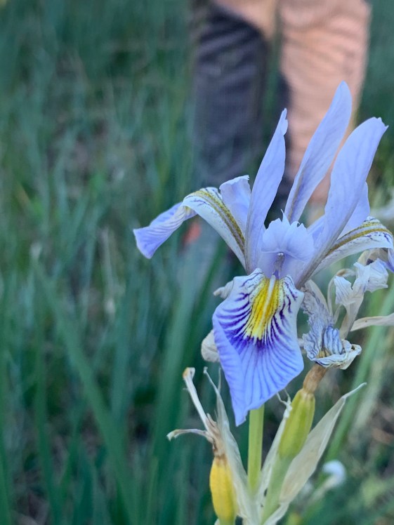 XvaDwcV2Qy+d14OH44F3Bg